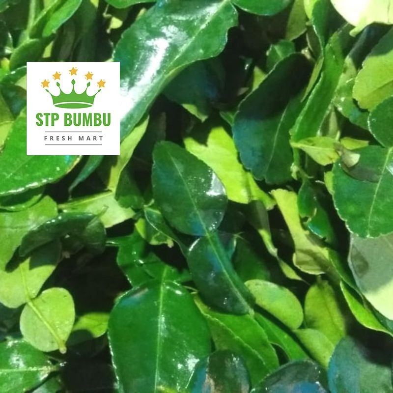 

PROMO TERLARIS Daun Jeruk Purut Segar Fresh 50 gram - 100 gram