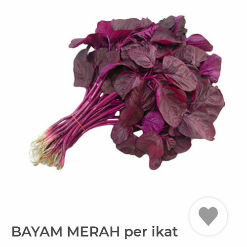 

Sayur Bayam Merah Segar 1 Ikat