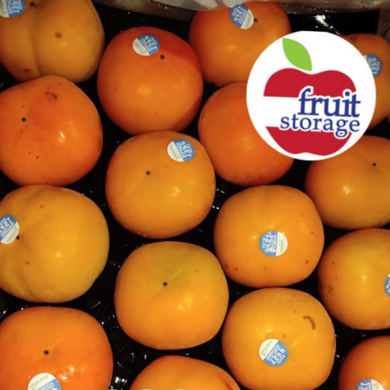 

Buah Persimmon Manis Premium kesemek impor Australia New Zealand Korea China Import persimon