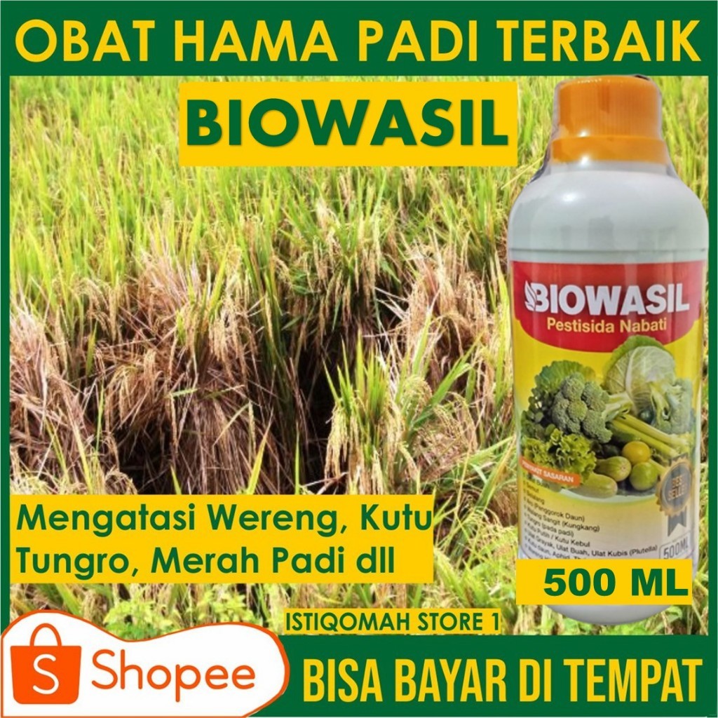 100% ORI BIOWASIL Pestisida Organik Obat Hama Padi, Mengatasi Hama Wereng Coklat pada Padi, dll