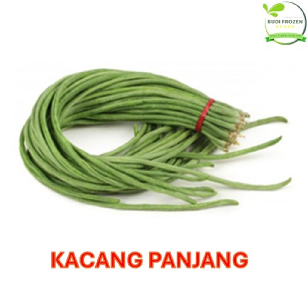

KACANG PANJANG FRESH / KACANG PANJANG HARGA PASAR