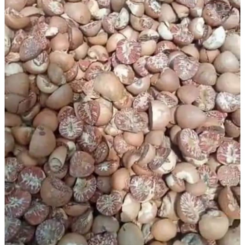 

Pinang kering belah dua areca nutbetel nuts