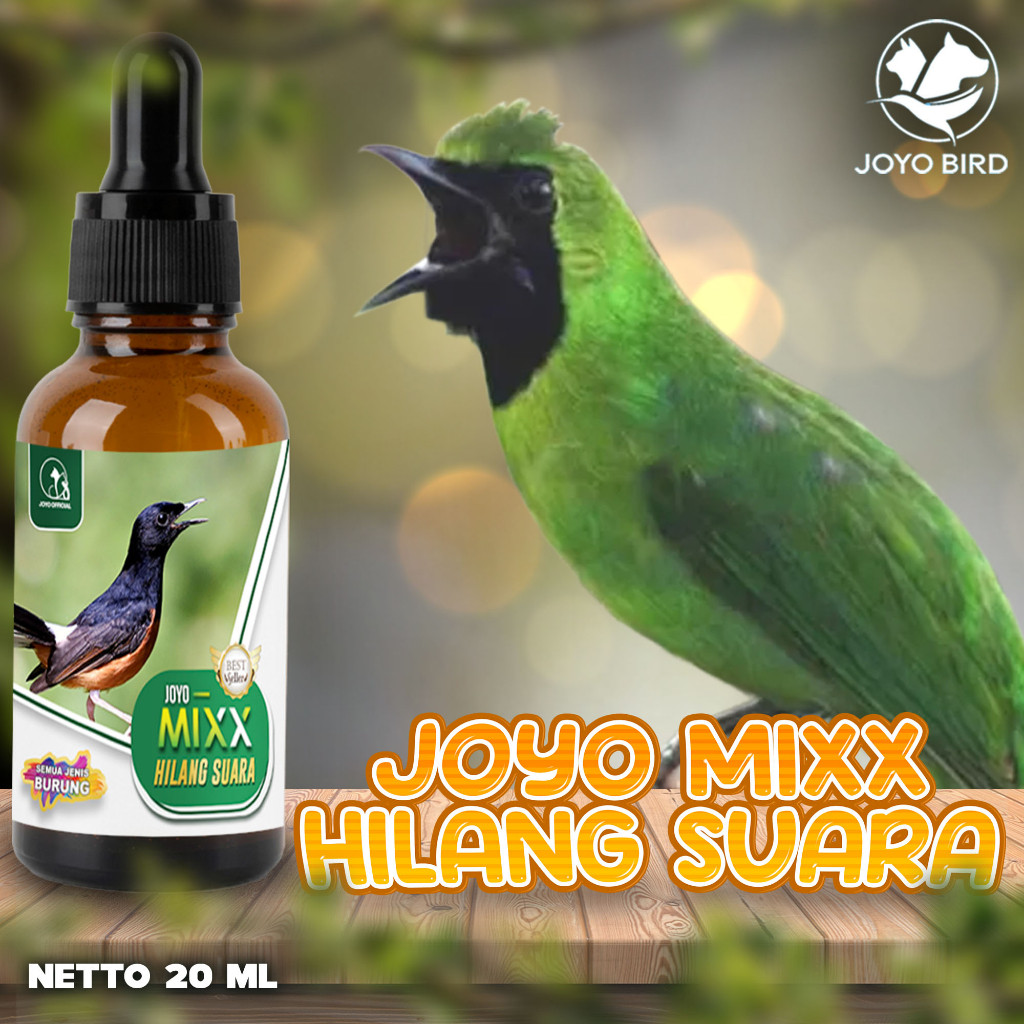 OBAT SUARA HILANG BURUNG | OBAT SAKIT TENGGOROKKAN BURUNG | MENGEMBALIKAN SUARA BURUNG | MIXX HILANG