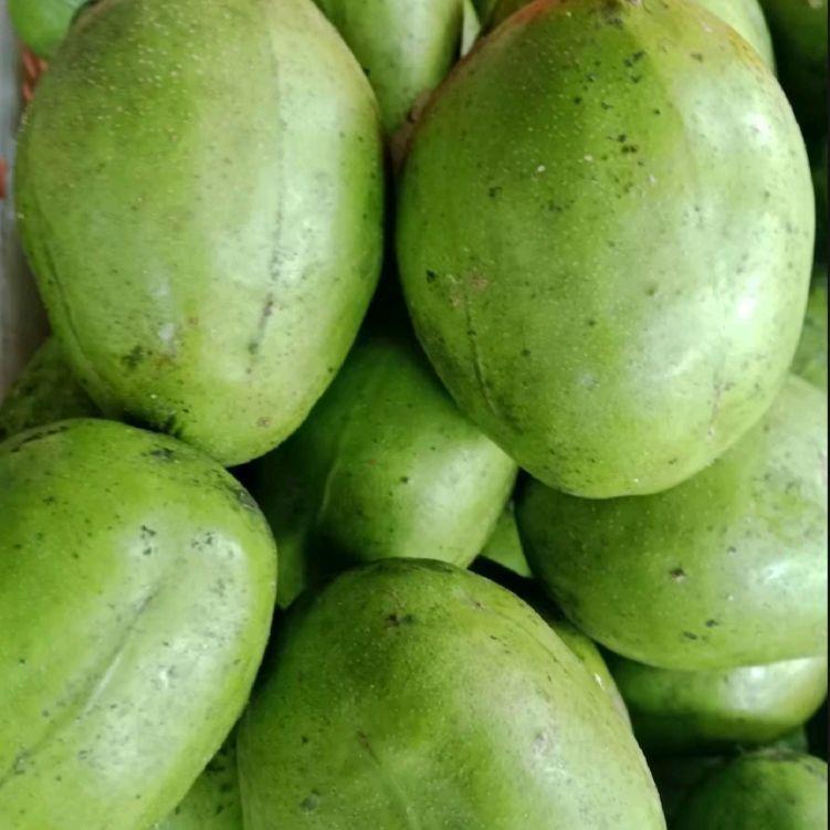 

Buah kedondong Bangkok jumbo fresh segar 1kg