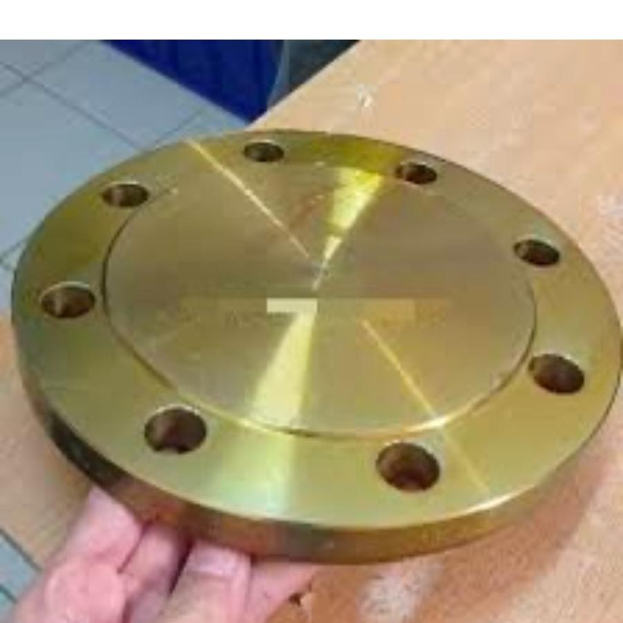 Flange Buta Besi 12" Inch PN16 - Blind Flange Carbon Steel PN16 DN300