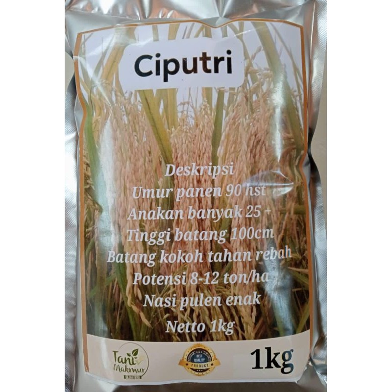 BENIH BIBIT PADI CIPUTRI CIHERANG  MALAI PANJANG KEMASAN 1KG