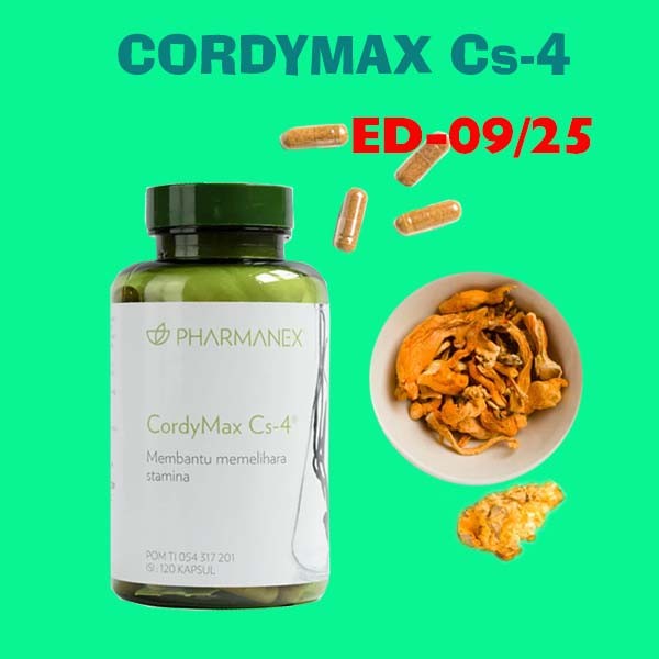 CORDYMAX JAMUR CORDYCEPS PEGUNUNGAN HIMALAYA