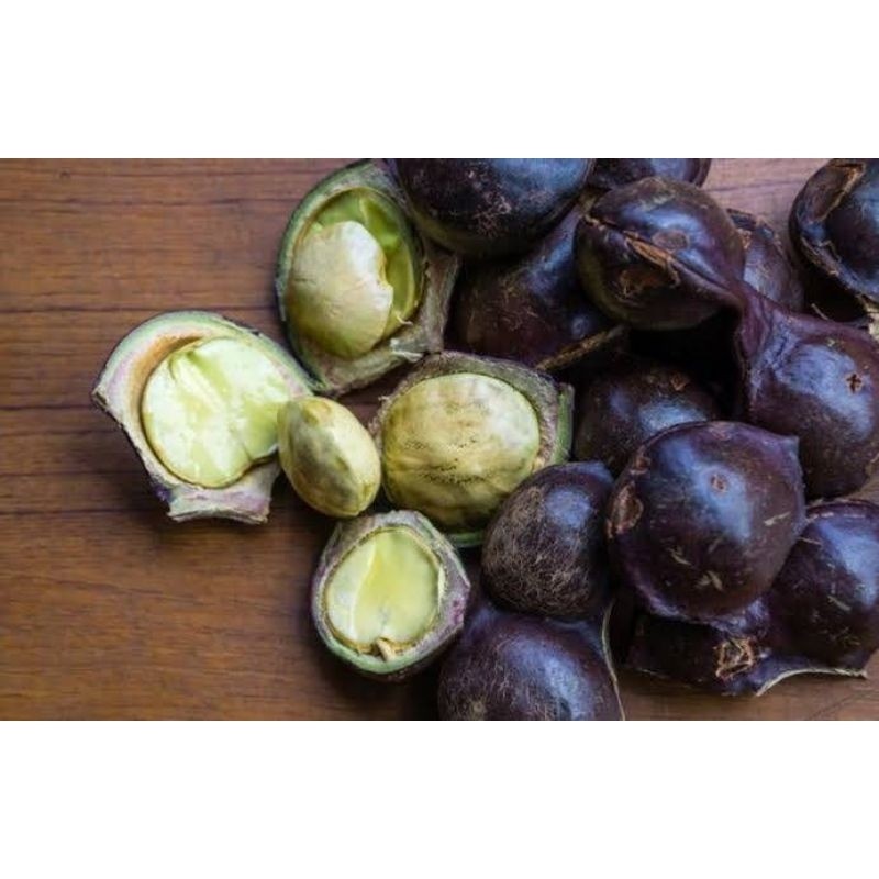 

Jengkol muda buat lalapan dan kesehatan 1 kilo