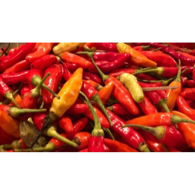 

Cabe rawit segar 50gr