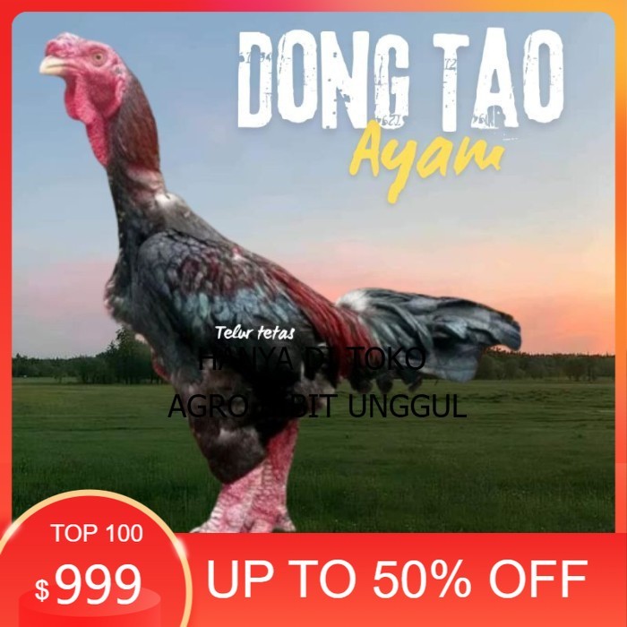 

telur ayam dong tao Vietnam ori bisa untuk di tetaskan original berkualitas agro.bibit.unggul