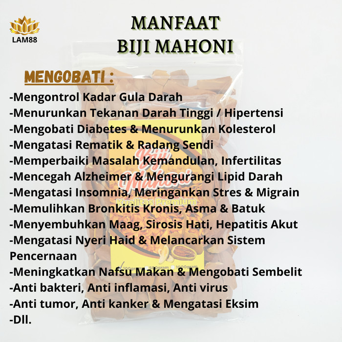 

Promo BIJI BUAH MAHONI PREMIUM - 100GR Terlaris