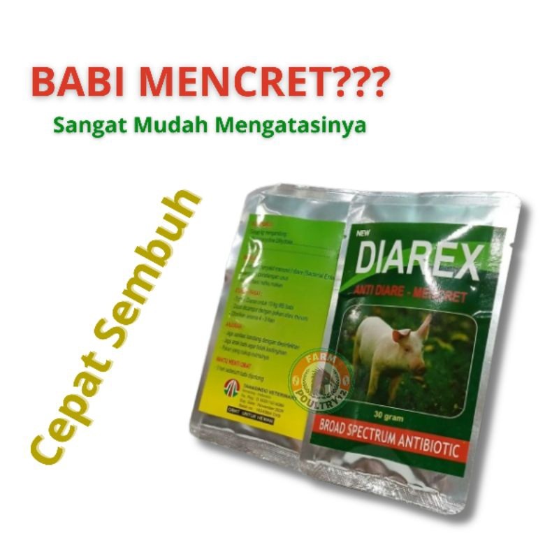 DIAREX OBAT MENCRET BABI