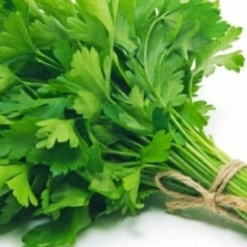 

Seledri 100gr - 1/4 kg