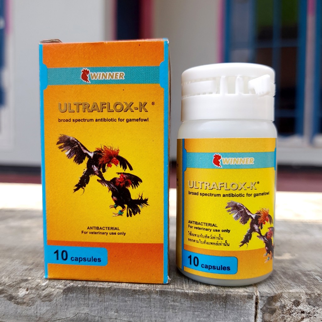 ULTRAFLOX K 10 KAPSUL ANTIBIOTIK AYAM LAGA WINNER ANTIBAKTERI