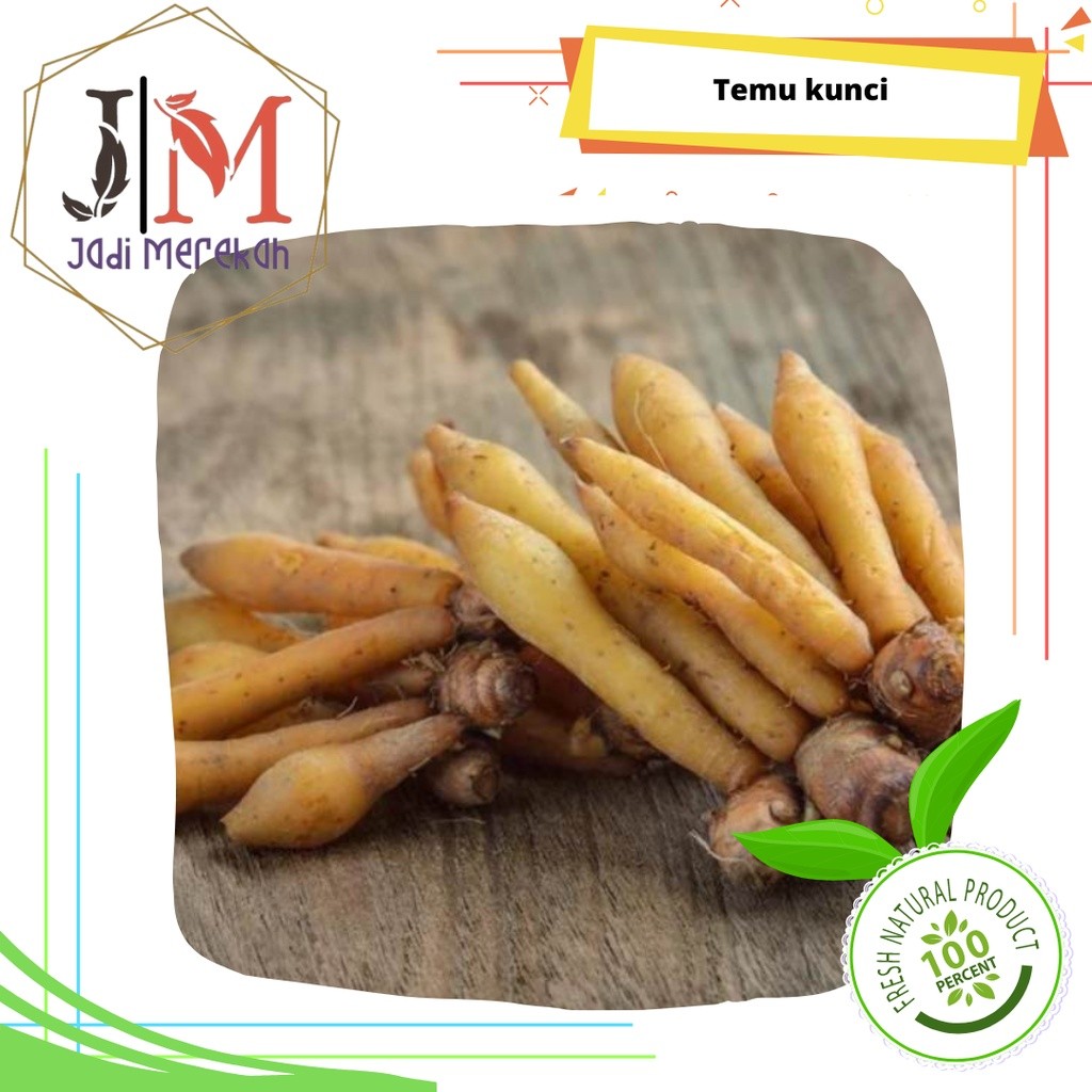 

[JM SoFresh] - Temu kunci / Kunci ready