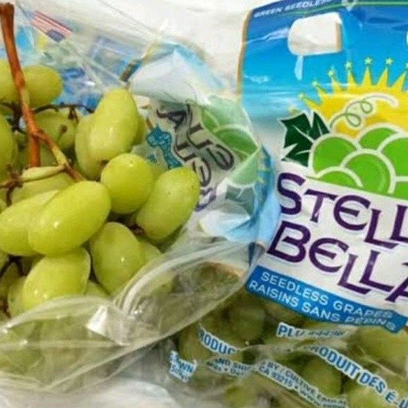 

UD BUAH 3 SAUDARA BUAH ANGGUR HIJAU USA STELLA BELLA SEDLES