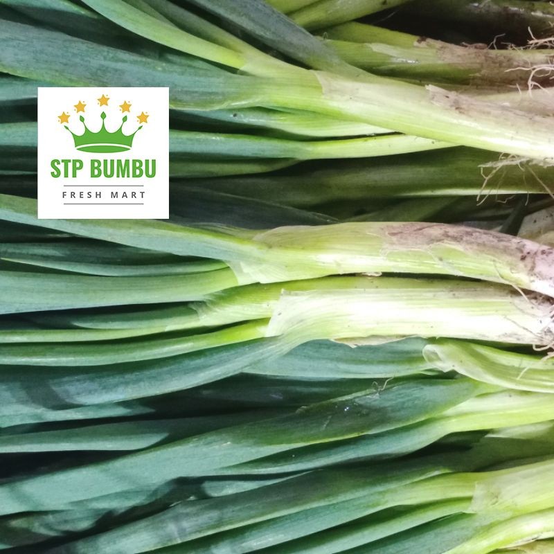 

Promo terlaris Daun Bawang Segar Fresh 50 gram - 100 gram termurah