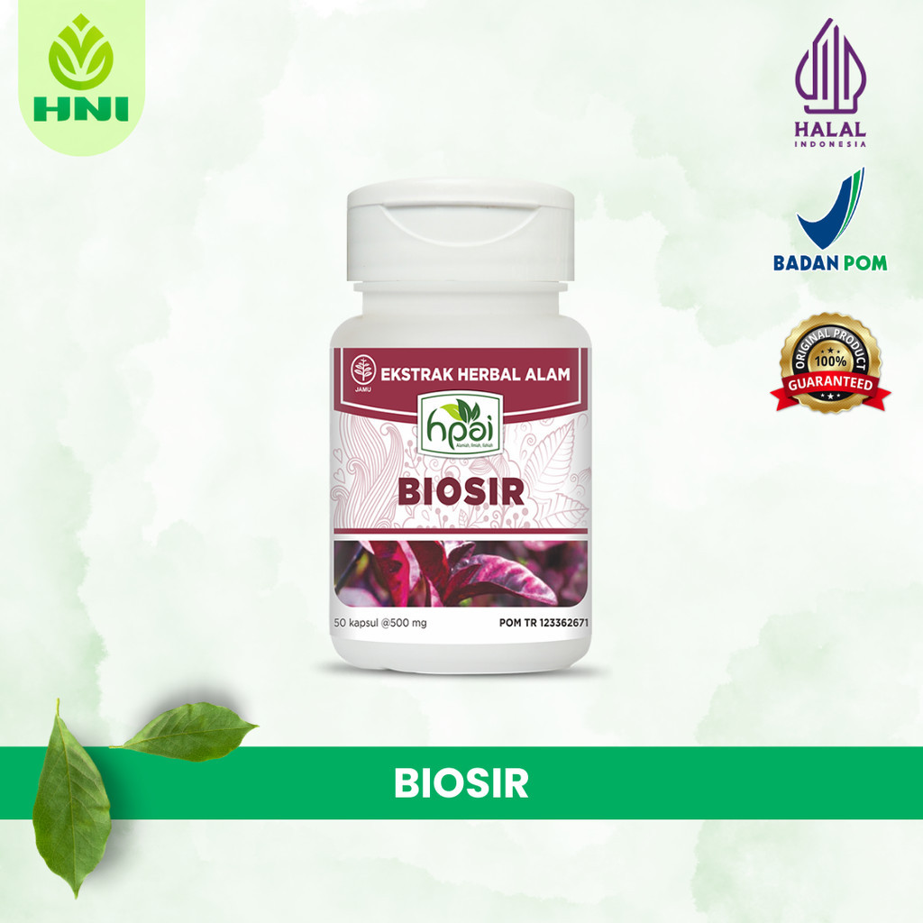 

BIOSIR Usir wasir dan gejalanya / obat ambeien / obat wasir / herbal ambeien / herbal wasir - HNI BPOM