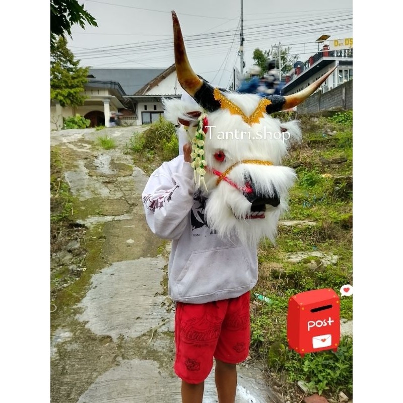 __)) BANTENGAN BULU KOREA - BANTENGAN DEWASA/REMAJA - BANTENGAN BULU - BANTENG IMUTAN 1,5 Kil - BANT