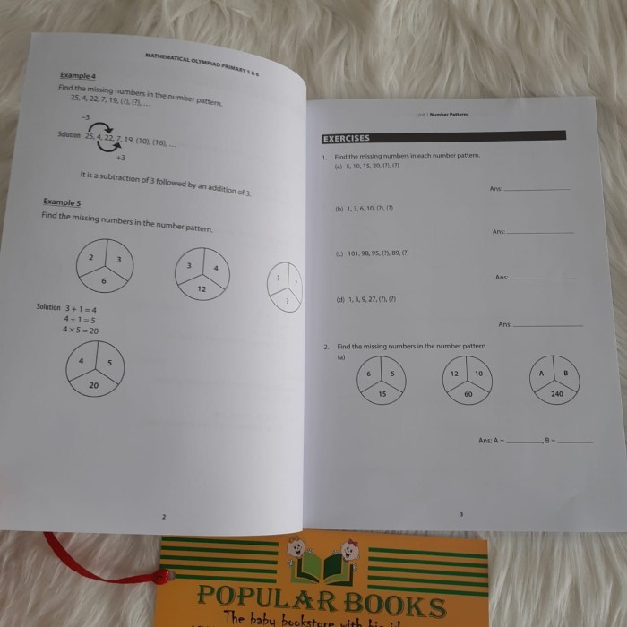 

Mathematical Olympiad Primary 5&6 CPD