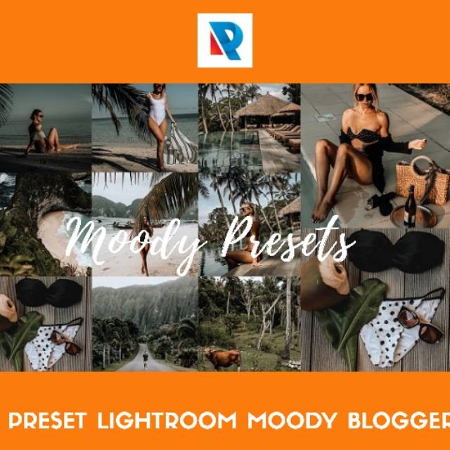 PRESET LIGHTROOM MOODY BLOGGER PREMIUM TERMURAH