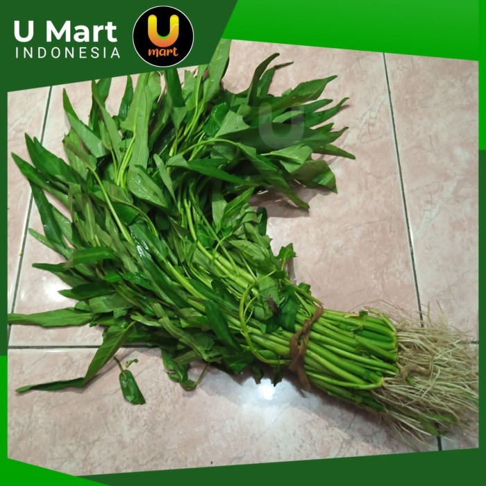

U Mart - Kangkung Segar 1 ikat