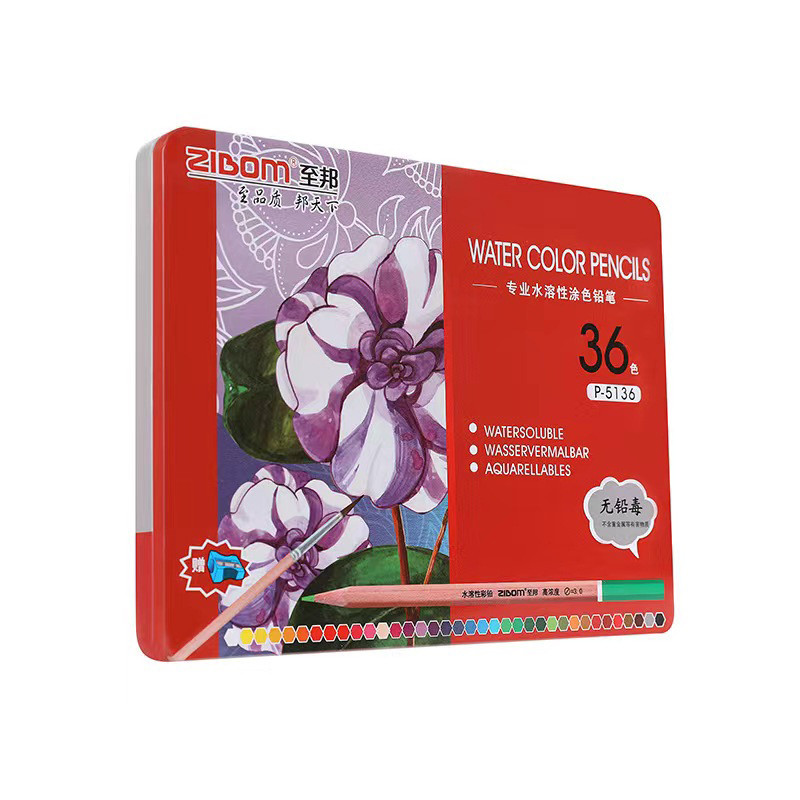 

Professional Water Colored Pencils Set Fine Art Drawing Non-toxic Oil Base Pencils Set for Artist Sketch 36 Colours