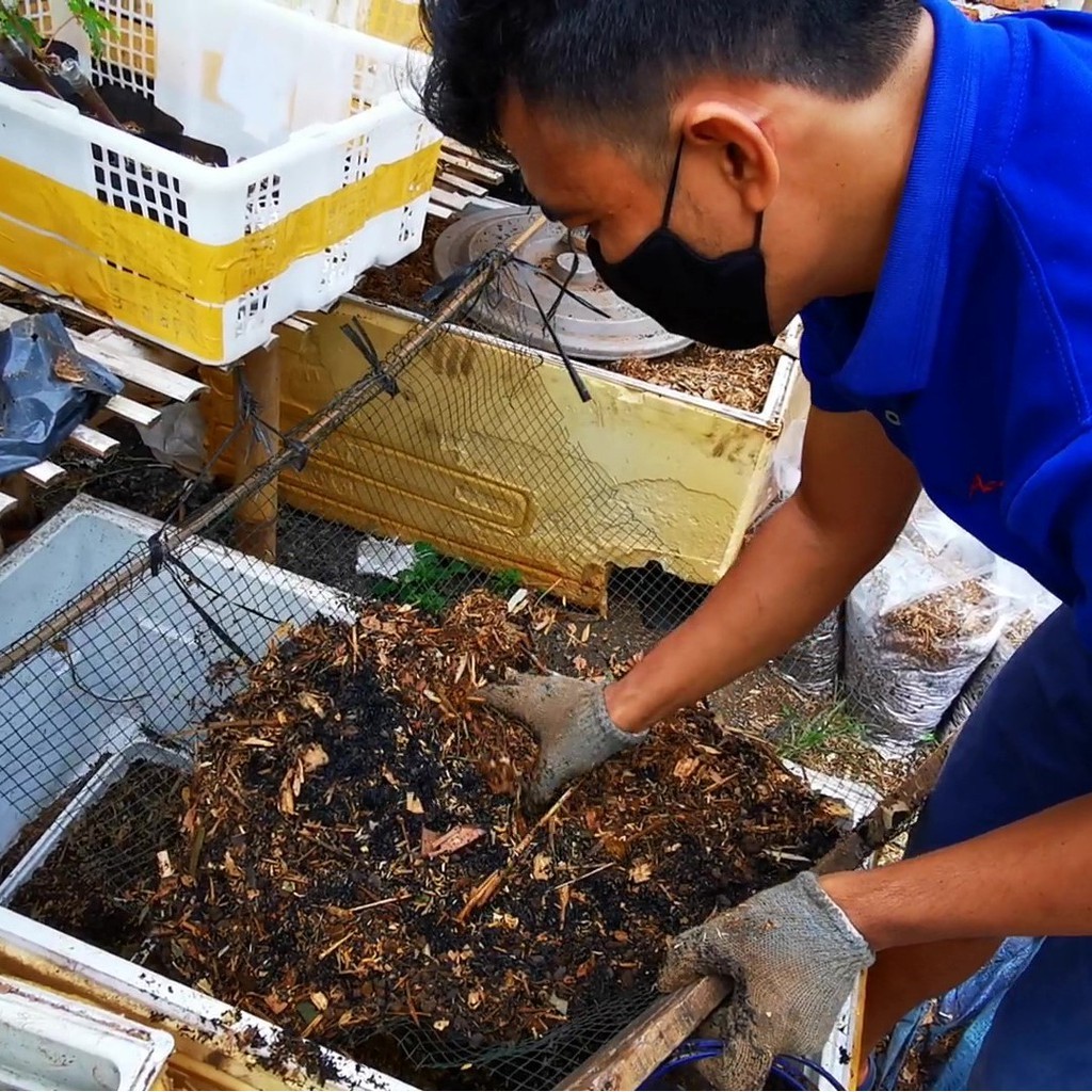 Pupuk Kompos Bambu Pilihan 5 Liter Trichoderma dan PGPR Alami