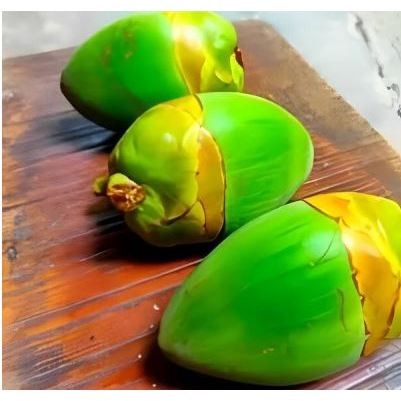 

10 Pcs Bluluk Kelapa Muda Segar – Buah Alami Kaya Manfaat untuk Kesehatan