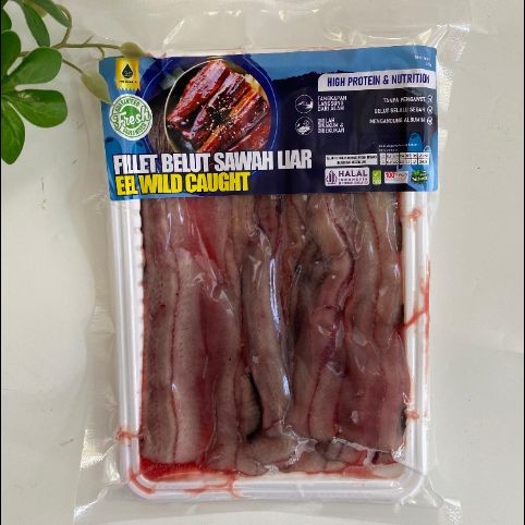 Pure Organic Fillet Belut Sawah Liar 250 Gram|Belut Sawah|Fillet Belut|Belut|