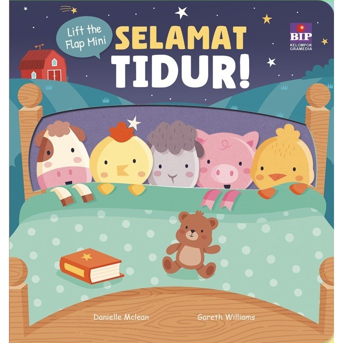 * Lift the Flap Mini