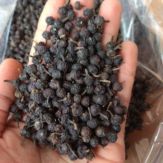 

Biji Kemukus Kering (100gr) / Lada Jawa Kering / Obat Herbal Kering