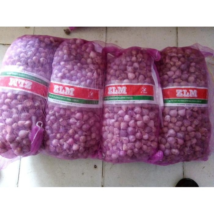 

Promo Bawang putih tunggal - bawang putih lanang ukuran jumbo 1 kg terlaris