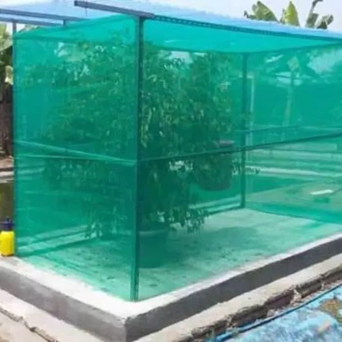 Kandang Lalat BSF Portabel