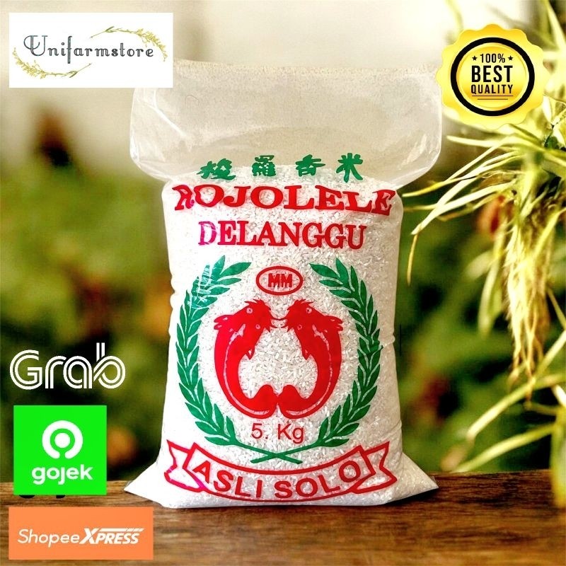 

Beras Rojolele Delanggu 5 LITER - EKONOMIS