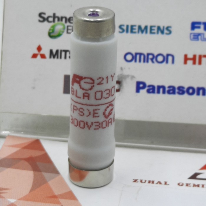 TPJ99 BLA-030 / 600V (30A), FUSE LINKS ( FUSE BOTOL KERAMIK ), FUJI