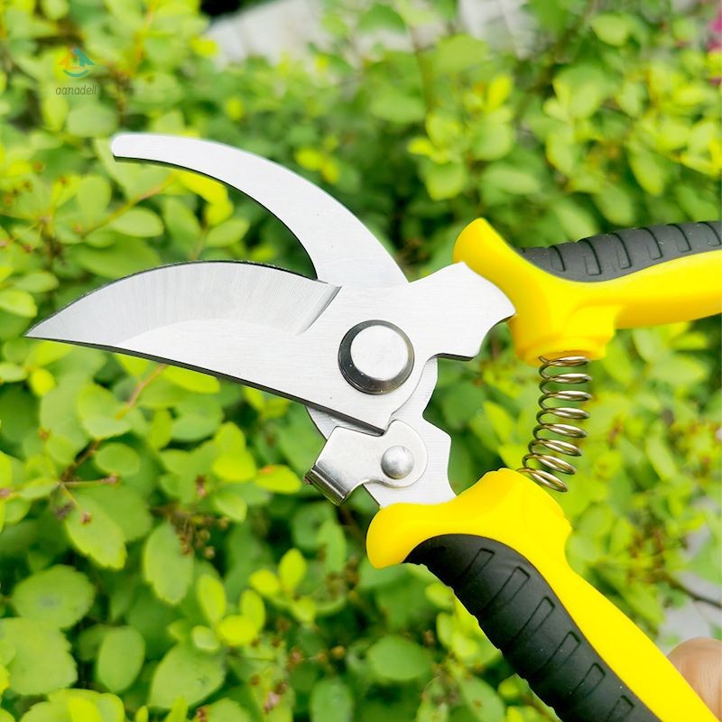 

Gunting Pemangkas Stainless Steel Gunting Cabang Berkebun Gunting Bunga Aanadell