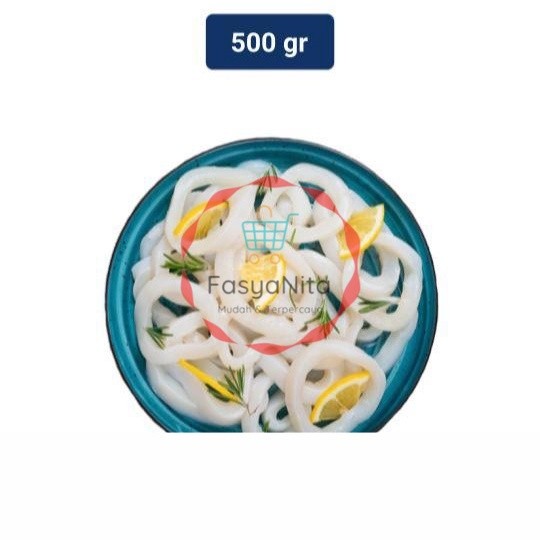 

Cumi Ring 1 Pack (270 - 330 gr) - Fasyanita Denpasar