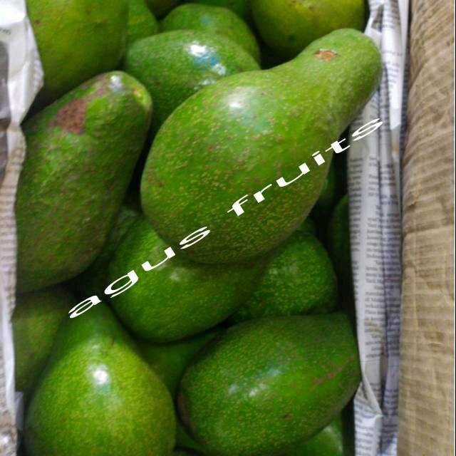 

UD BUAH 3 SMAUDARA Alpukat mentega super