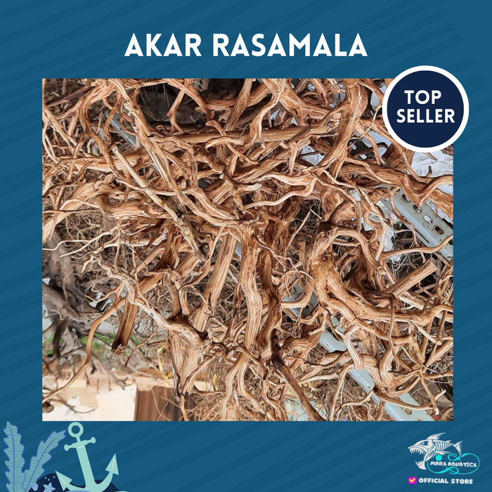 AKAR RASAMALA KAYU HIASAN AQUARIUM AQUASCAPE RASAMALA SIZE L 40-50CM