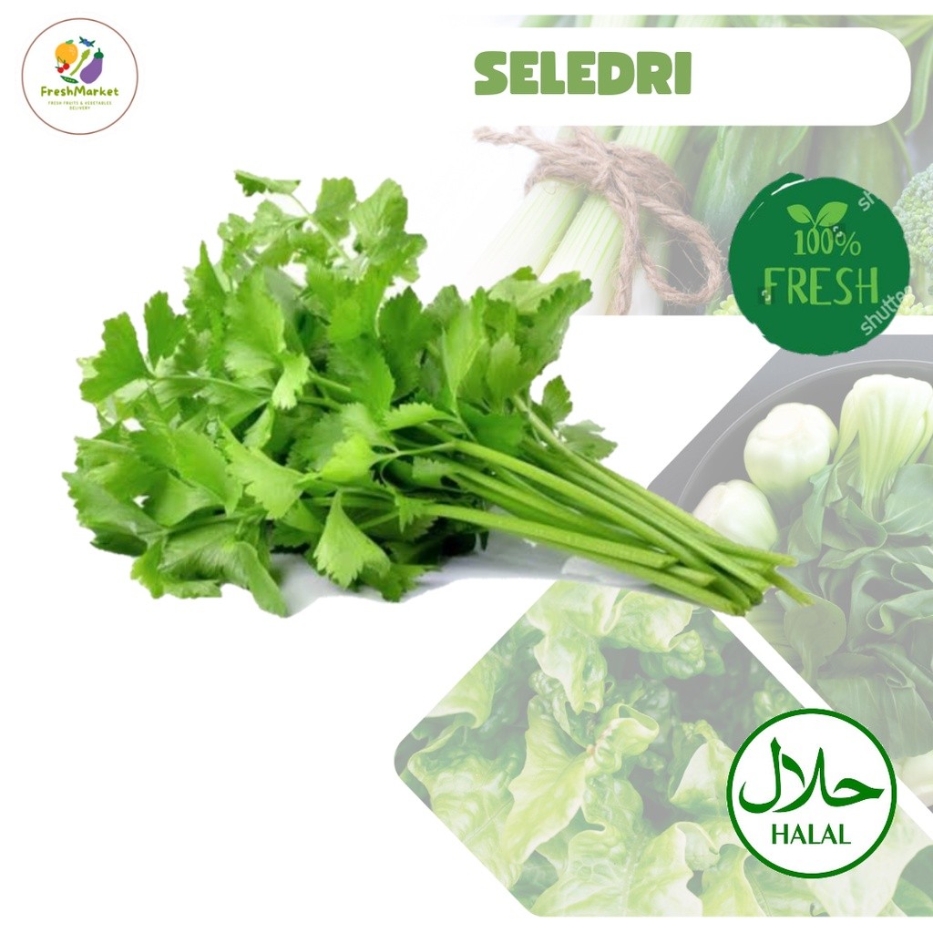 

Daun Seledri Sayur Bumbu Dapur Sop Segar Per Ikat Sayurinstant