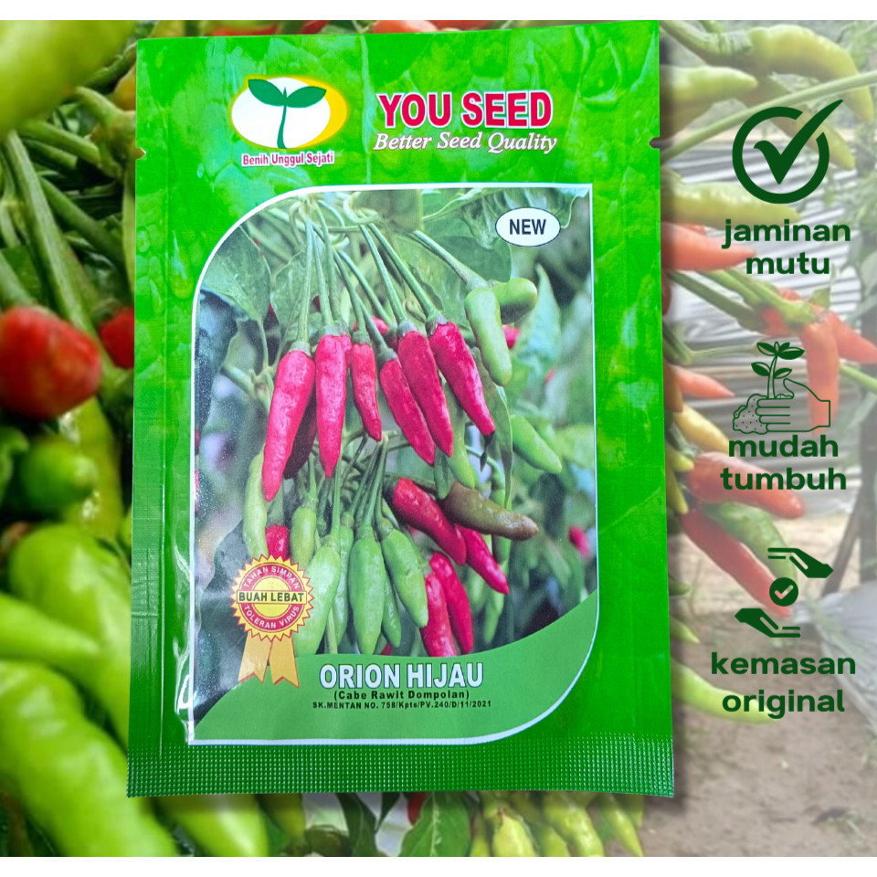 Benih Cabe Rawit Dompolan ORION HIJAU 10 gr Bjii Bibit You Seed
