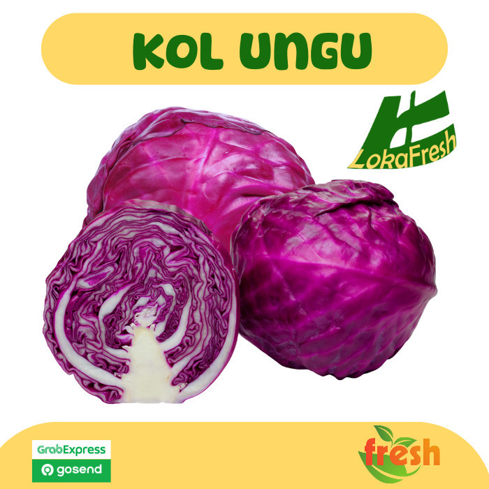 

Kol Ungu Kol Merah / Red Cabbage