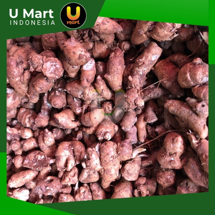 

U Mart - Kencur Segar 250 gram