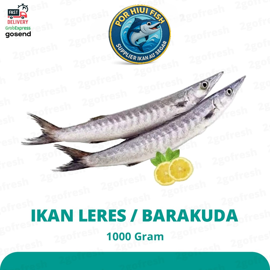 

Ikan Leres / Tunul / Barakuda / Barracuda ( Potongan ) Fresh