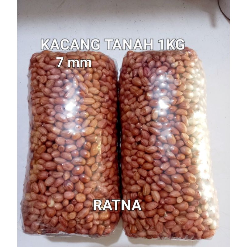 

KACANG TANAH IMPOR MURAH 1 Kg (Asli INDIA) KACANG TANAH MENTAH