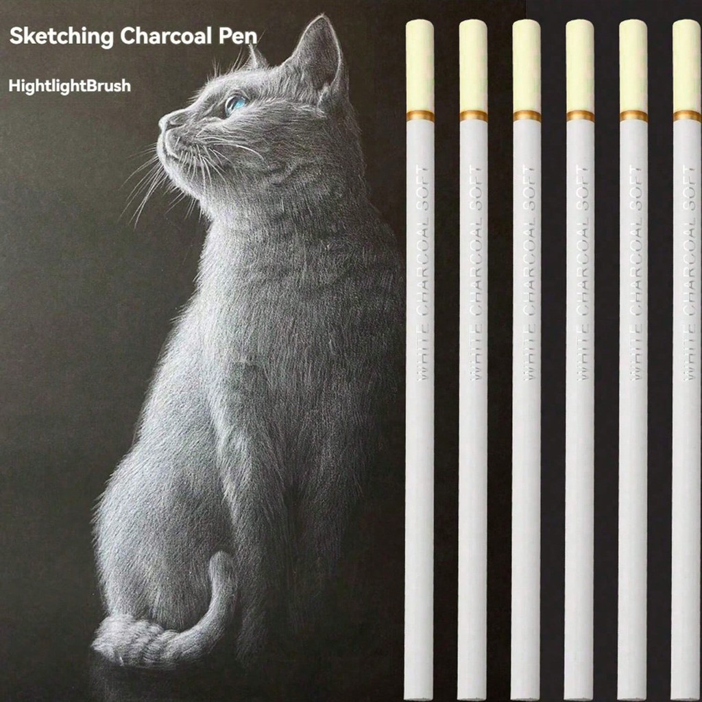 

3-6Pcs White Charcoal Pencils Set Professional 2B White Sketch Pencils for Drawing Sketching Pencils Beginners