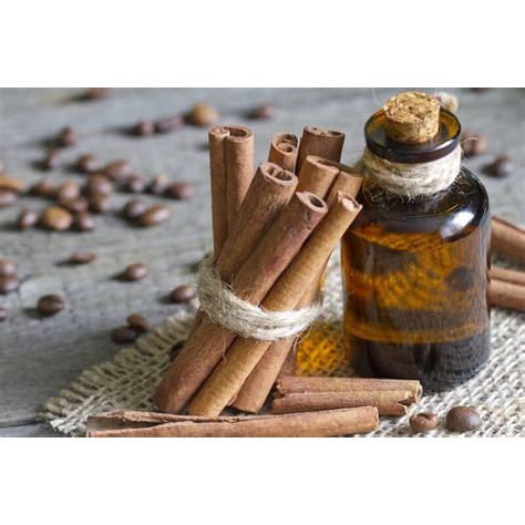 

Cinnamon Bark Oil / Minyak Kayu Manis (10ml)