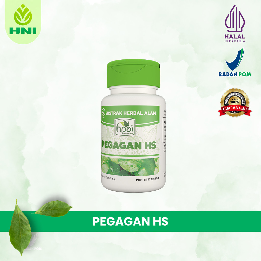 

Herbal Stroke - PEGAGAN HS - Herba Membantu Sirkulasi Darah Herbal Sembuh dari Stroke -HNI BPOM