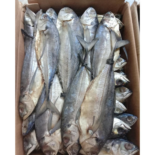 

Ikan Asin Tegang Ekor 250gr